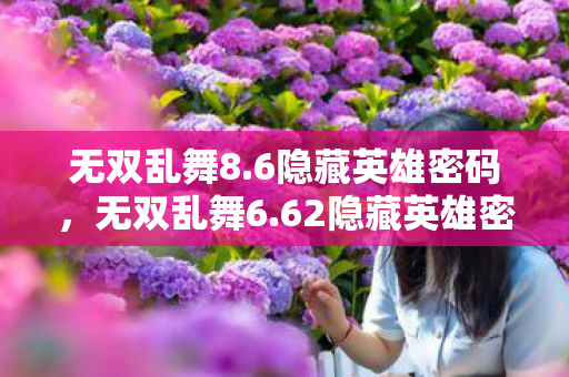 无双乱舞8.6隐藏英雄密码，无双乱舞6.62隐藏英雄密码揭秘