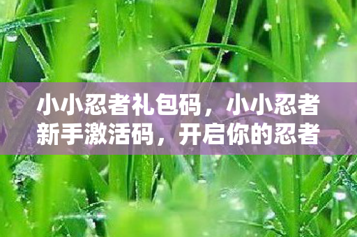 小小忍者礼包码，小小忍者新手激活码，开启你的忍者世界之旅