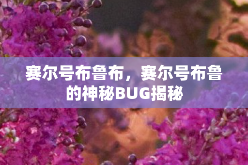 赛尔号布鲁布，赛尔号布鲁的神秘BUG揭秘