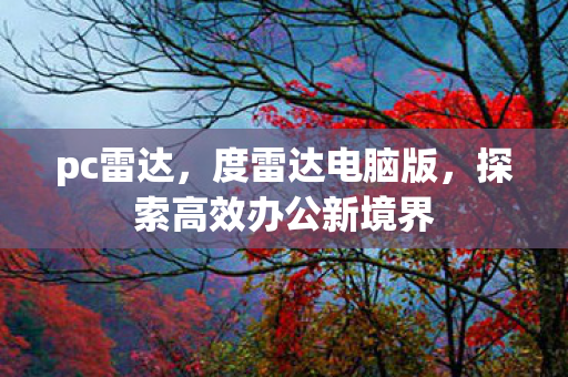 pc雷达，度雷达电脑版，探索高效办公新境界