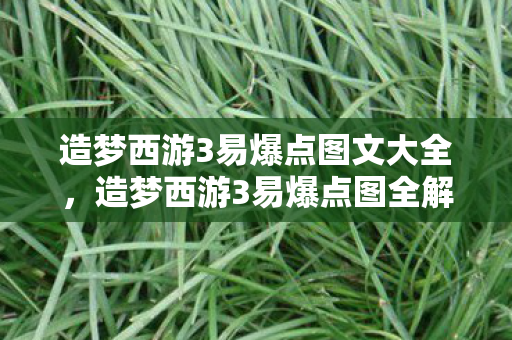 造梦西游3易爆点图文大全,造梦西游3易爆点图全解析,解锁隐藏关卡,提升战力不是梦! 造梦西游3易爆点图文大全,造梦西游3易爆点图全解析,解锁隐藏关卡,提升战力不是梦!