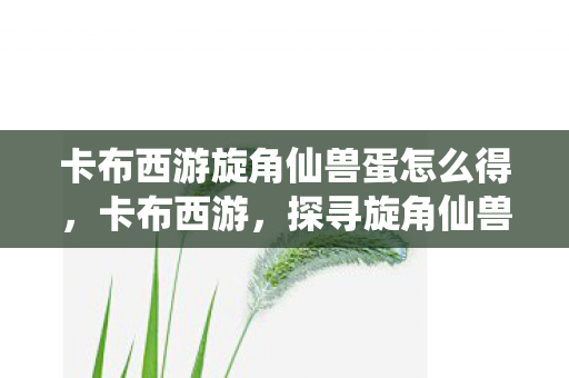 卡布西游旋角仙兽蛋怎么得图片