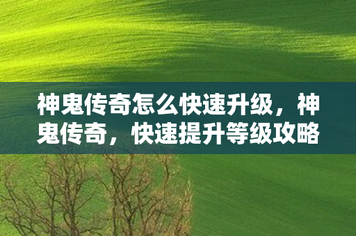 神鬼传奇怎么快速升级图片