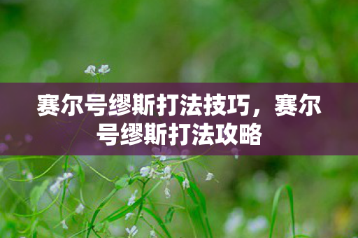 赛尔号缪斯打法技巧，赛尔号缪斯打法攻略