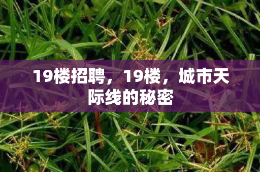 19楼招聘，19楼，城市天际线的秘密