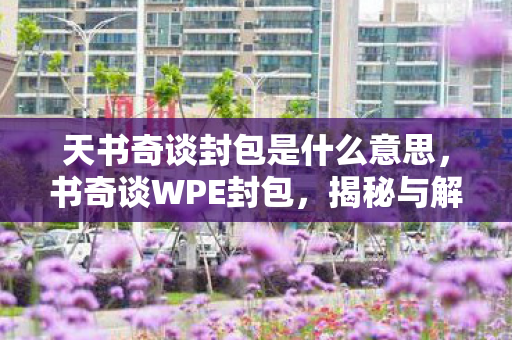 天书奇谈封包是什么意思，书奇谈WPE封包，揭秘与解析
