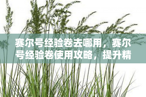 赛尔号经验卷去哪用，赛尔号经验卷使用攻略，提升精灵等级的最佳选择