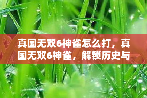 真国无双6神雀怎么打，真国无双6神雀，解锁历史与神话的交汇点