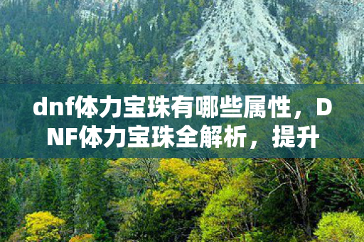 dnf体力宝珠有哪些属性，DNF体力宝珠全解析，提升角色战斗力的必备道具