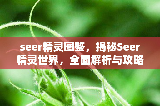 seer精灵图鉴，揭秘Seer精灵世界，全面解析与攻略大全