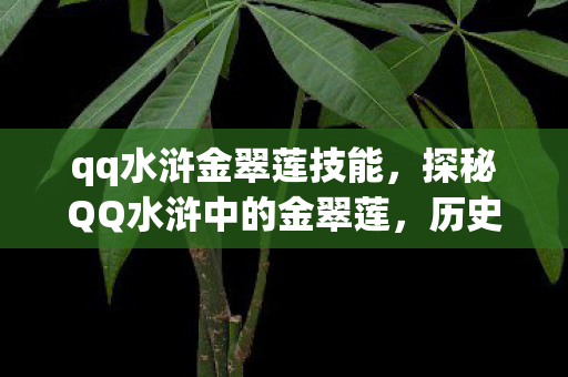 qq水浒金翠莲技能,探秘QQ水浒中的金翠莲,历史与游戏的交织 qq水浒金翠莲技能,探秘QQ水浒中的金翠莲,历史与游戏的交织