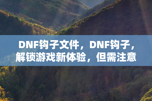 DNF钩子文件,DNF钩子,解锁游戏新体验,但需注意风险 DNF钩子文件,DNF钩子,解锁游戏新体验,但需注意风险