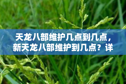 天龙八部维护几点到几点，新天龙八部维护到几点？详解游戏维护时间