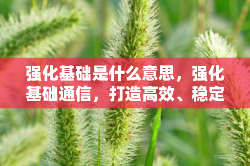 强化基础是什么意思图片