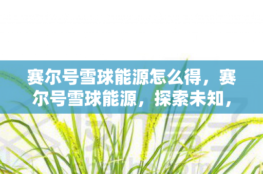 赛尔号雪球能源怎么得，赛尔号雪球能源，探索未知，点亮希望之光