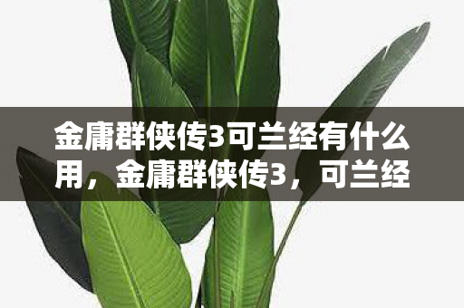 金庸群侠传3可兰经有什么用,金庸群侠传3,可兰经的秘密与武侠世界的哲学 金庸群侠传3可兰经有什么用,金庸群侠传3,可兰经的秘密与武侠世界的哲学