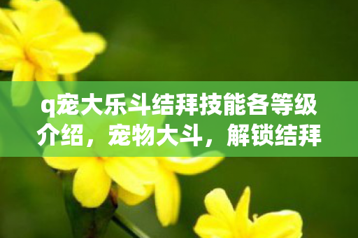 q宠大乐斗结拜技能各等级介绍，宠物大斗，解锁结拜技能的奇妙之旅