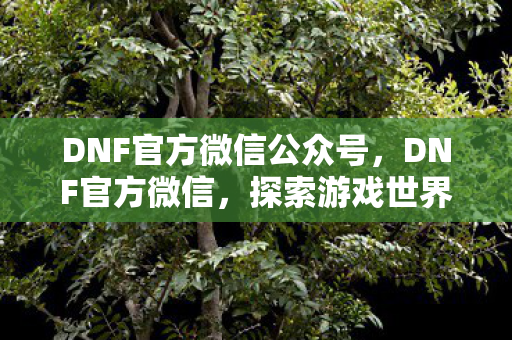 DNF官方微信公众号,DNF官方微信,探索游戏世界的奇妙之旅 DNF官方微信公众号,DNF官方微信,探索游戏世界的奇妙之旅