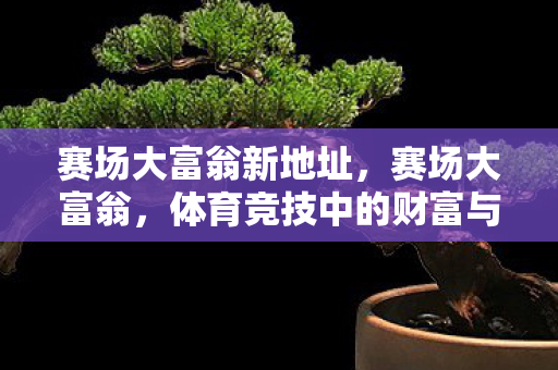 赛场大富翁新地址，赛场大富翁，体育竞技中的财富与梦想