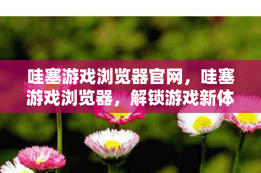 哇塞游戏浏览器官网，哇塞游戏浏览器，解锁游戏新体验