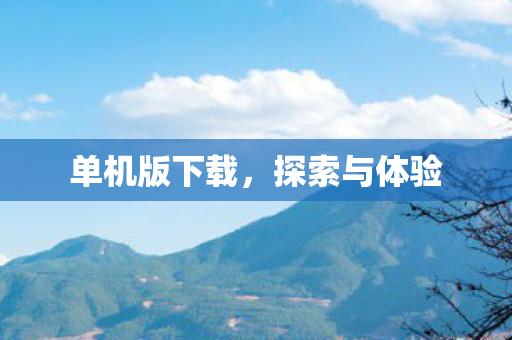 单机版下载，探索与体验