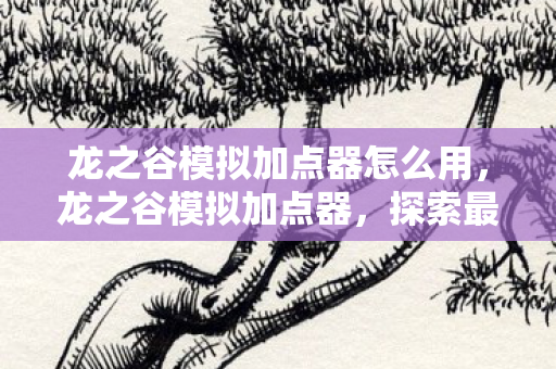 龙之谷模拟加点器怎么用，龙之谷模拟加点器，探索最佳技能组合的新工具