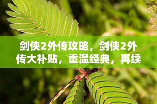 剑侠2外传攻略，剑侠2外传大补贴，重温经典，再续江湖情缘