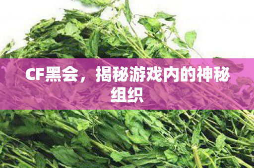 CF黑会，揭秘游戏内的神秘组织