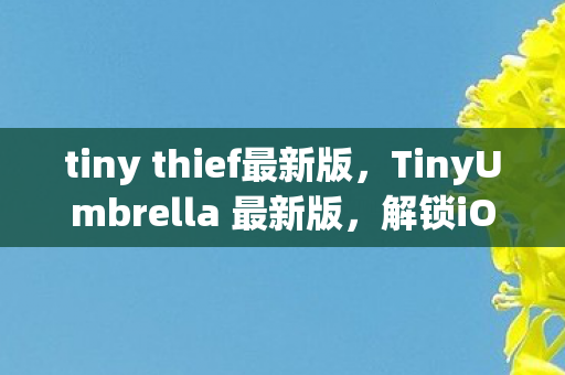 tiny thief最新版,TinyUmbrella 最新版,解锁iOS设备的终极工具 tiny thief最新版,TinyUmbrella 最新版,解锁iOS设备的终极工具