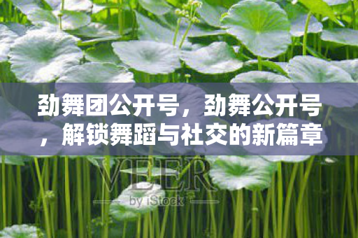 劲舞团公开号，劲舞公开号，解锁舞蹈与社交的新篇章