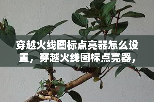 穿越火线图标点亮器怎么设置，穿越火线图标点亮器，点亮你的游戏激情