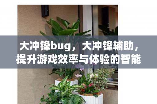 大冲锋bug，大冲锋辅助，提升游戏效率与体验的智能工具