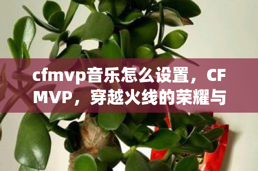 cfmvp音乐怎么设置，CFMVP，穿越火线的荣耀与梦想