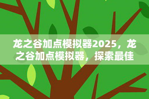 龙之谷加点模拟器2025，龙之谷加点模拟器，探索最佳技能配置之路