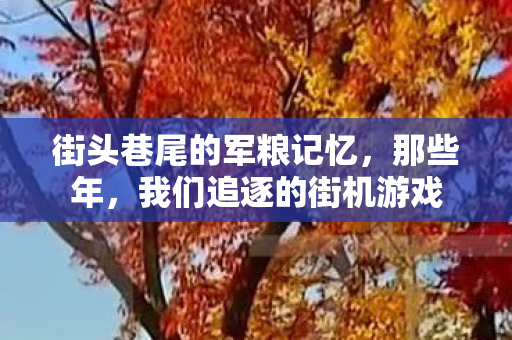 街头巷尾的军粮记忆，那些年，我们追逐的街机游戏
