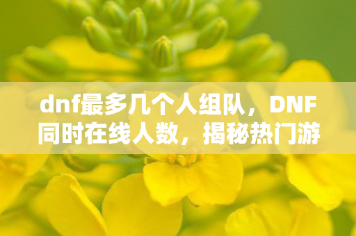 dnf最多几个人组队,DNF同时在线人数,揭秘热门游戏的辉煌时刻 dnf最多几个人组队,DNF同时在线人数,揭秘热门游戏的辉煌时刻