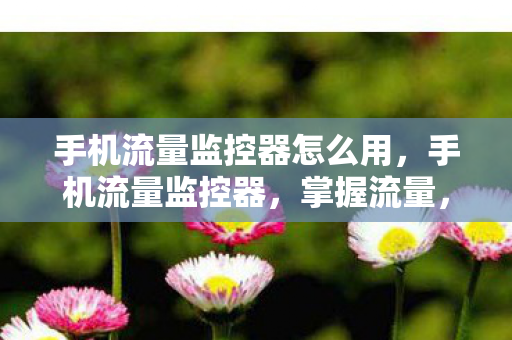 手机流量监控器怎么用，手机流量监控器，掌握流量，优化生活
