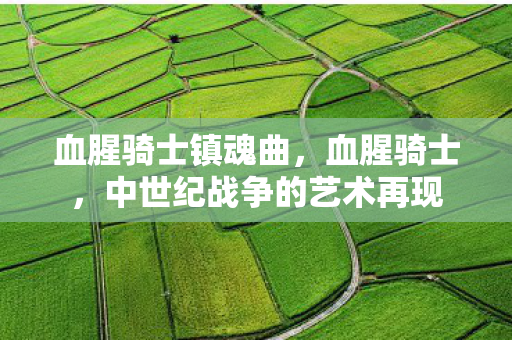 血腥骑士镇魂曲,血腥骑士,中世纪战争的艺术再现 血腥骑士镇魂曲,血腥骑士,中世纪战争的艺术再现