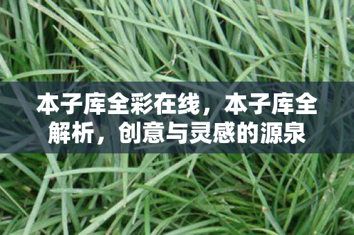 本子库全彩在线，本子库全解析，创意与灵感的源泉