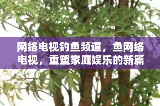 网络电视钓鱼频道,鱼网络电视,重塑家庭娱乐的新篇章 网络电视钓鱼频道,鱼网络电视,重塑家庭娱乐的新篇章