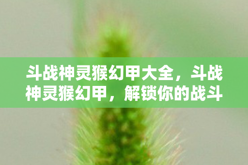 斗战神灵猴幻甲大全，斗战神灵猴幻甲，解锁你的战斗潜能