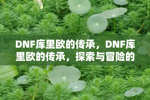 DNF库里欧的传承,DNF库里欧的传承,探索与冒险的永恒篇章 DNF库里欧的传承,DNF库里欧的传承,探索与冒险的永恒篇章