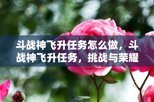 斗战神飞升任务怎么做，斗战神飞升任务，挑战与荣耀的终极之旅