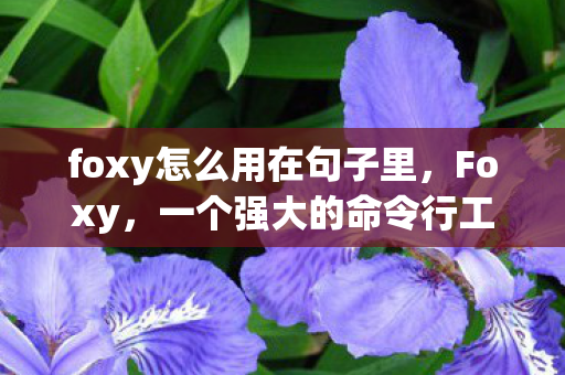 foxy怎么用在句子里，Foxy，一个强大的命令行工具，如何高效使用？