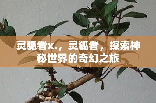 灵狐者x.，灵狐者，探索神秘世界的奇幻之旅