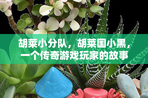 一个传奇游戏玩家的故事图片