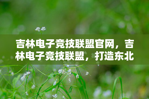 吉林电子竞技联盟官网，吉林电子竞技联盟，打造东北电竞新名片