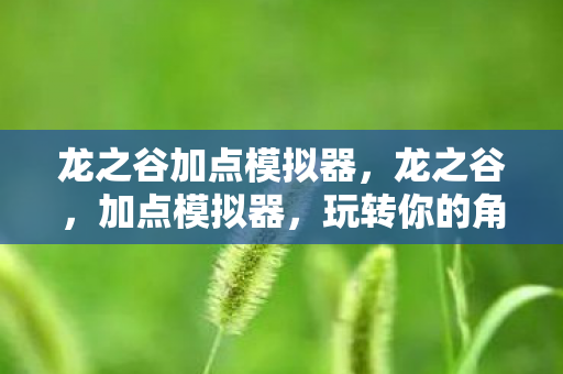 龙之谷加点模拟器，龙之谷，加点模拟器，玩转你的角色成长之路