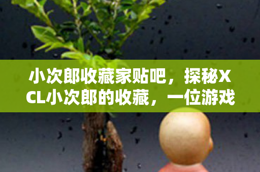 小次郎收藏家贴吧，探秘XCL小次郎的收藏，一位游戏玩家的极致热爱