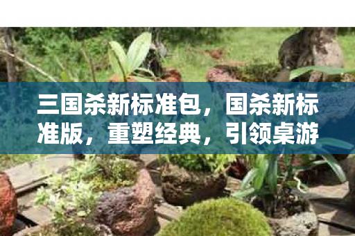 三国杀新标准包，国杀新标准版，重塑经典，引领桌游新风尚